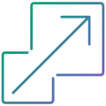 Startup Audit Services