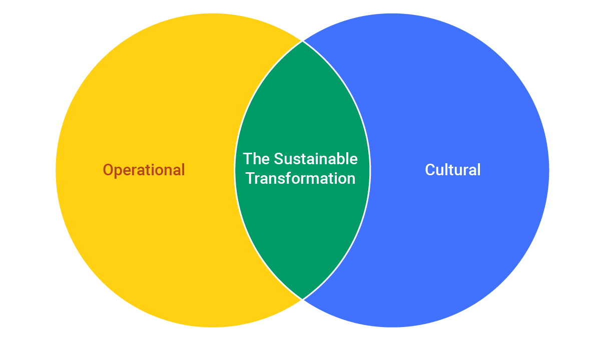 operational plus cultural
