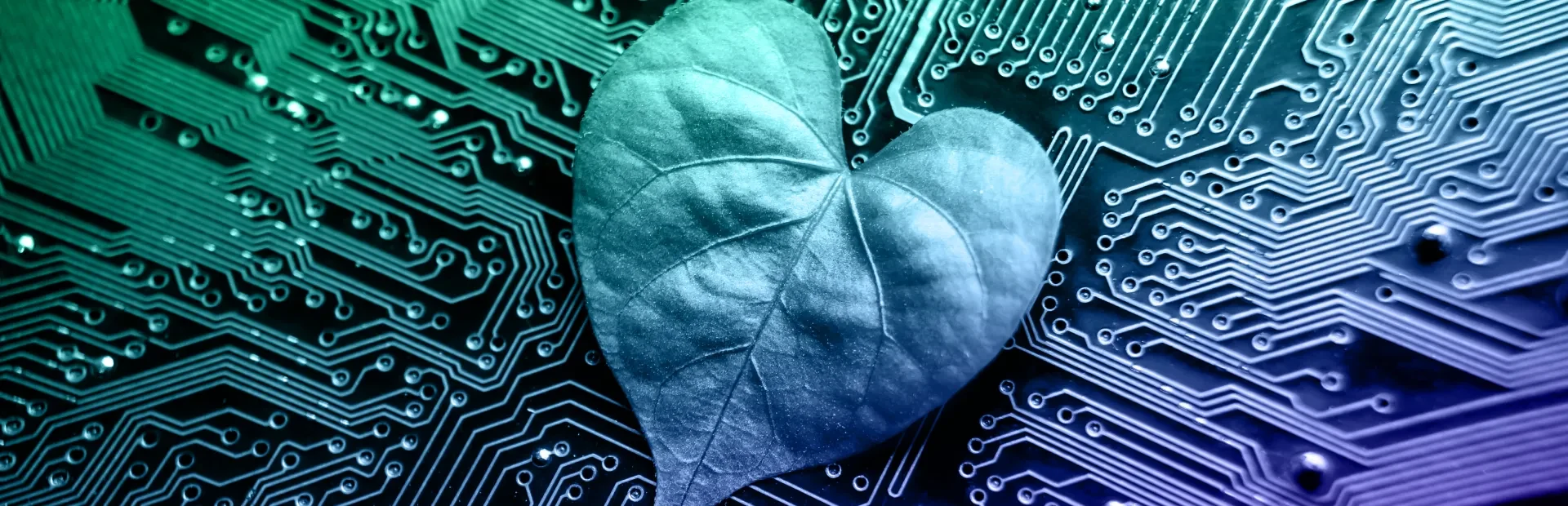 The Most Efficient and Environmentally Friendly Programming Languages