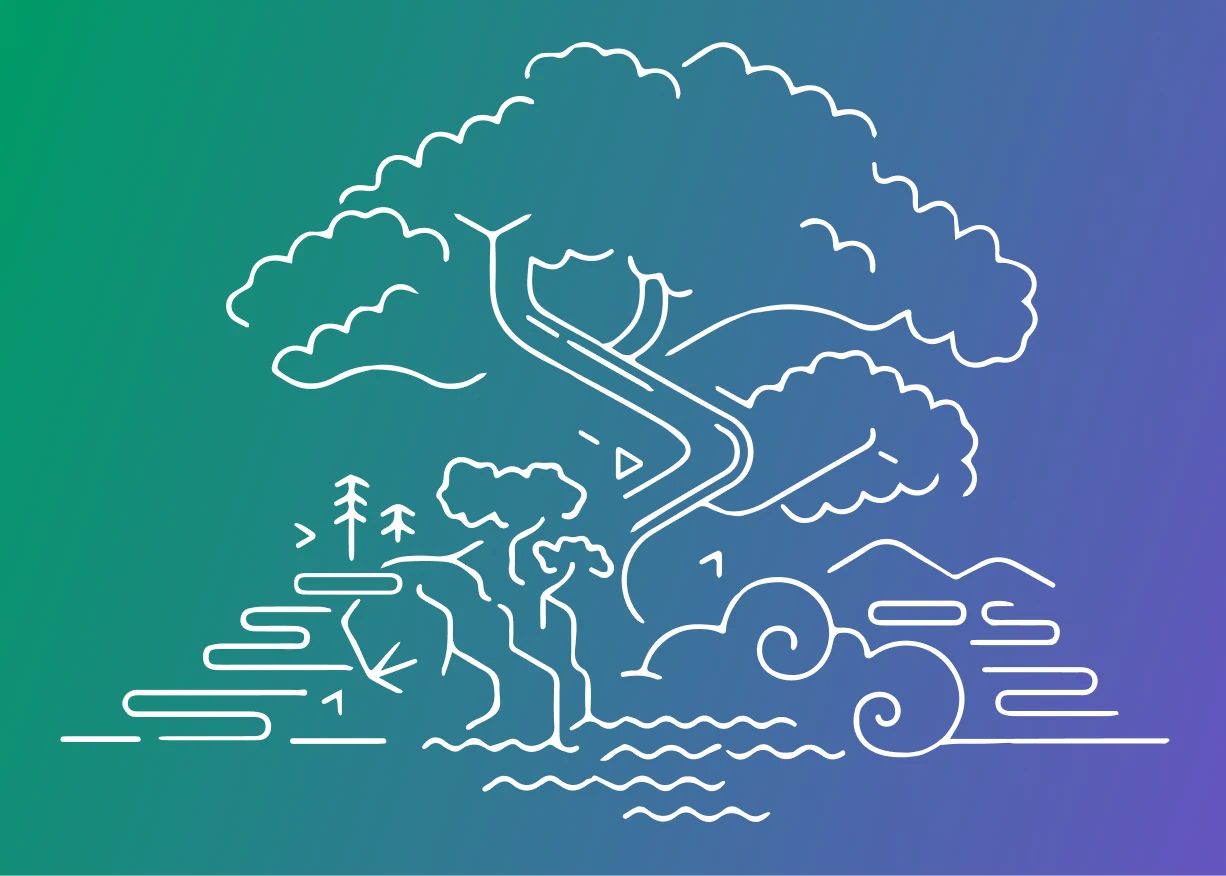 Case study illustration